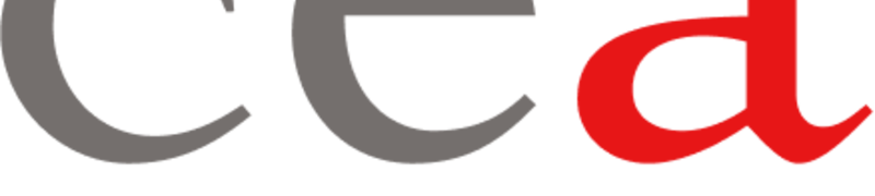 VIII Seminario del CEA Italia